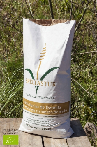 Harina INTEGRAL BIO de Escanda o Espelta 25 Kg (Triticum aestivum sub. Spelta)